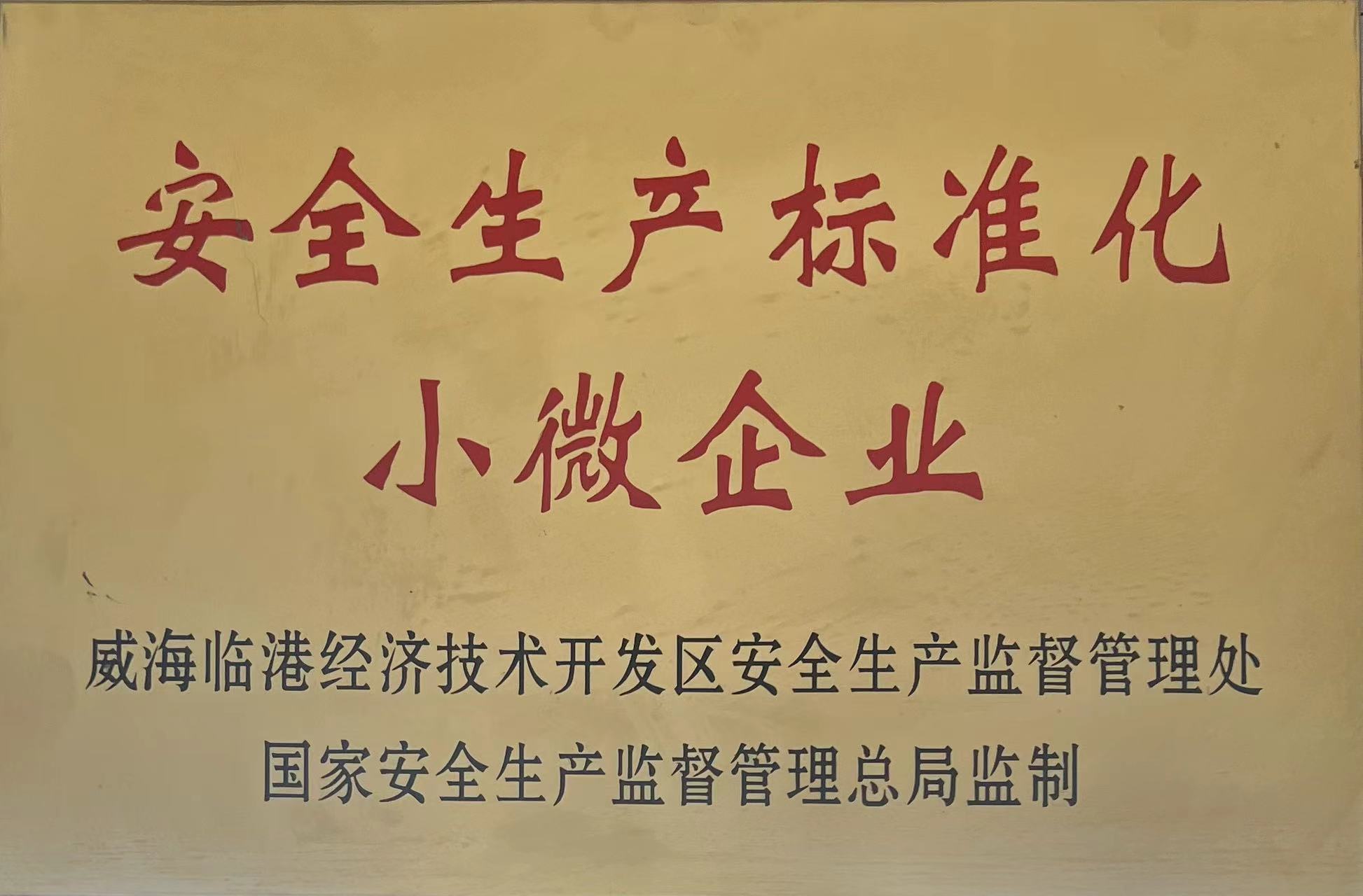 安全生产标准化小微企业